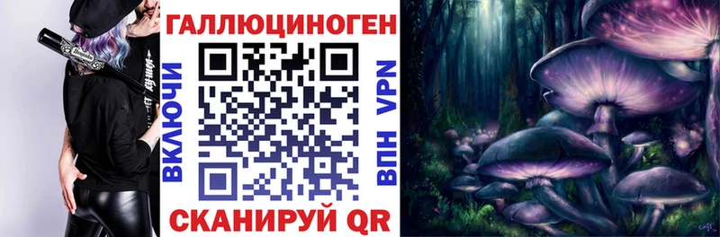 Галлюциногенные грибы MAGIC MUSHROOMS  Чегем 